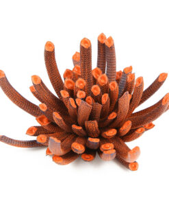 Striata brooch