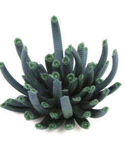 Striata brooch