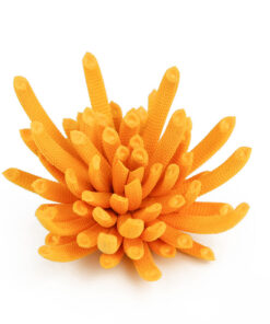 Broche Striata Fleur