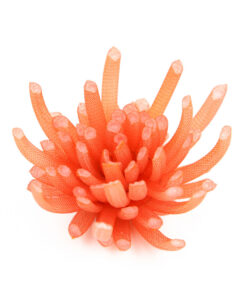 Striata brooch