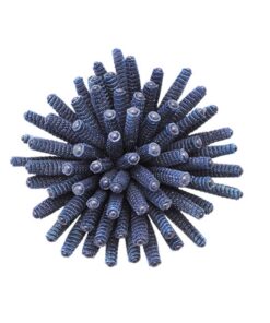 Corail Brooch