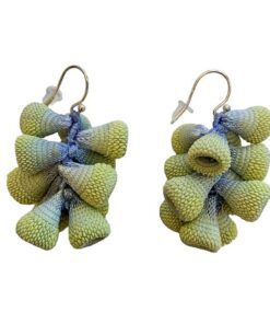 Boucles D'oreilles Sampao