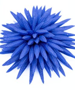 Chardon baguette Brooch - Image 5