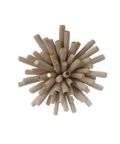 Or-Ganic Corail Brooch - Image 3