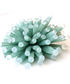 Rosée Brooch