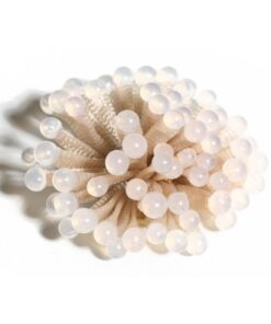 Alternative view of Rosée Brooch