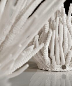 Sculptures Algaea S – Image 10