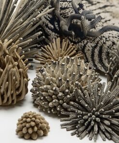 Sculptures Algaea S – Image 11