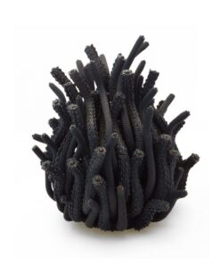 Sculptures Algaea S – Image 4