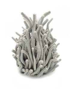 Sculptures Algaea S – Image 6