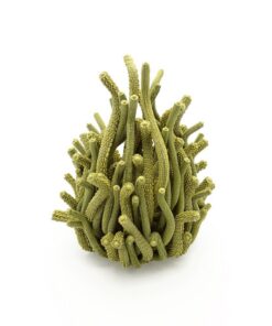 Sculptures Algaea S – Image 7