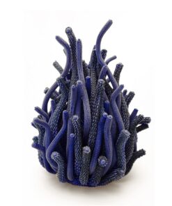 Sculptures Algaea S – Image 5