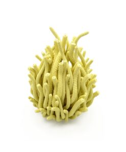 Sculptures Algaea S – Image 8