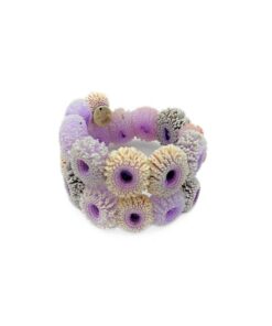 Zabadia Oursin Bracelet Glycine/Nacre/Opale/Transparent