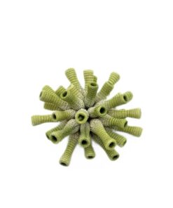 Akora Brooch Fennel/Nacre