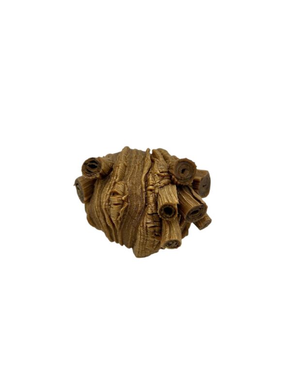 Broche Madeira marron