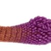 Q34-Safran-Magenta